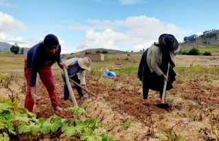 Residentes no rompen sus vínculos con sus comunidades de origen y la agricultura familiar