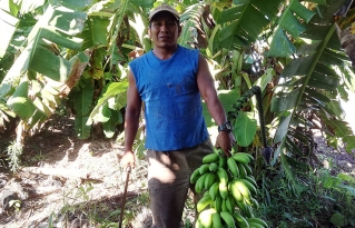 La crisis del coronavirus complica a muchos productores campesinos en la Chiquitanía