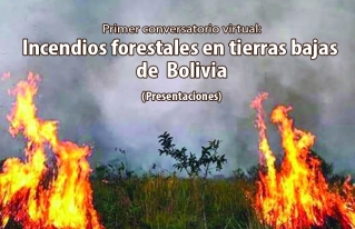 Expertos proponen gestión informativa, seguimiento a políticas públicas y un modelo de desarrollo sostenible ante incendios forestales