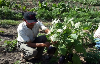 Expertos: Es la gran oportunidad para expandir la producción interna y externa de la agricultura familiar campesina
