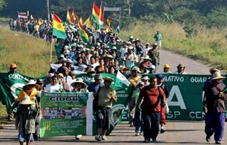 El Estado plurinacional en construcción afecta a los derechos de los pueblos indígenas de las Tierras Bajas de Bolivia