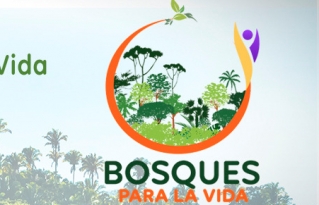 Cuidemos los bosques para proteger la vida: una campaña ante los incendios y otras prácticas