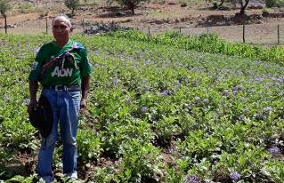 Promueven prácticas agroecológicas a través del intercambio de experiencias, feria y trueque de semillas en Torotoro