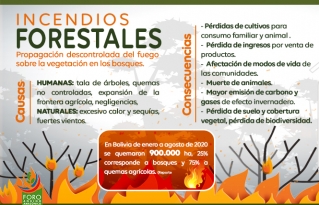 Los bosques, una responsabilidad con el país, no un discurso de campaña electoral