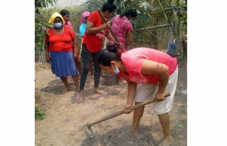 Huertos familiares como respuesta al desabastecimiento de alimentos ocasionado por la pandemia del COVID -19