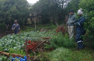 Agua y diversificación, medidas para combatir el COVID - 19