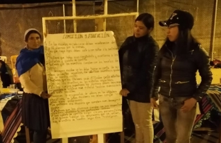 Organización de mujeres provincia Carrasco Valles: el 50% de las funcionarias públicas deben ser mujeres