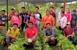 Productores de la Amazonia Sur se capacitaron en técnicas de producción de cacao nativo amazónico