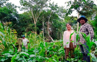 Peritantes de la Amazonía sur socializan los primeros resultados de su experiencia en Agroforesteria Dinámica