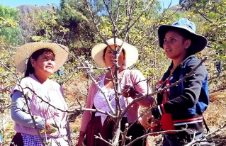 ¿Por qué festejar a las mujeres rurales?