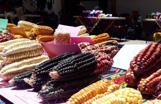Cumbre productiva para reactivar y fortalecer la agricultura familiar campesina.