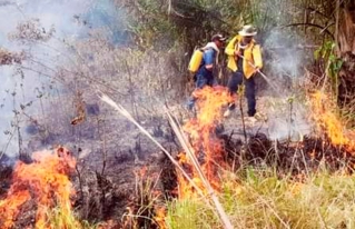 Santa Cruz en alerta roja por incendios forestales.