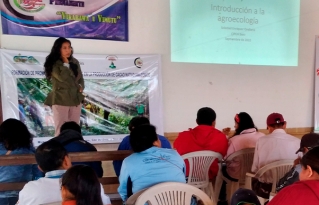 Productores de la Amazonía sur se forman como promotores agroecológicos en la producción de cacao nativo amazónico.