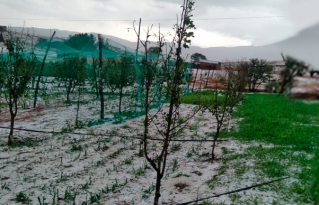 Granizada sorprende y causa daños en los sistemas productivos familiares del municipio de Torotoro.