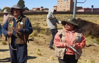 “Aprender haciendo”: prácticas en sanidad del ganado bovino