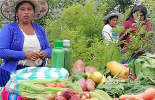 Procesos de empoderamiento y cualificación de experticias de mujeres rurales