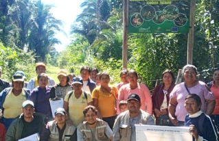 Taller validación directriz técnica para el aprovechamiento de frutos de palmera de cusi
