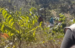 Taller socialización y validación de directriz técnica para el aprovechamiento de recursos naturales no maderables en el bosque seco chiquitano