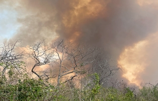 Incendios forestales: Arde “Área de Conservación e Importancia Ecológica” Ñembiguasu en el Chaco boliviano