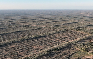 Más de 5000 hectáreas afectadas por desmonte de área de recarga hídrica en el chaco Chuquisaqueño