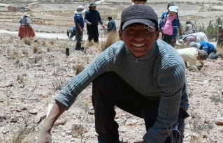 Comunidades de Calamarca se movilizan en torno a la forestación