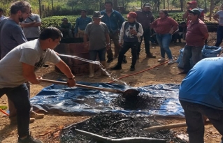 Productores de Medio Monte, Riberalta y Gonzalo Moreno se capacitan en prácticas agroecológicas