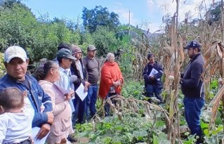 Gestores agrícolas del Gobierno Indígena de Kereimba Iyambae se forman bajo enfoque de Agroecología  
