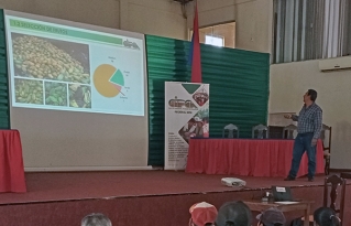 Fortaleciendo la Cadena de Valor del Cacao en el Beni: Desafíos y estrategias para incrementar la productividad