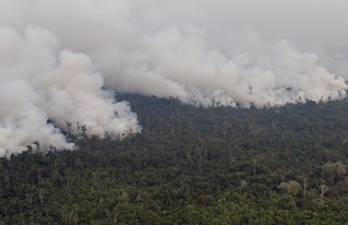 Jóvenes reforestadores lideran la lucha por restaurar la Amazonía boliviana