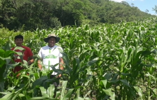 Semillas Nativas para un Futuro Sostenible: Familias Fortalecen su Seguridad Alimentaria 