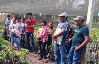 Jóvenes indígenas de la Amazonía Sur también realizan intercambio de experiencias sobre sistemas agroforestales