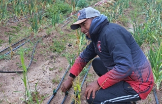 Más cosecha con menos agua: Tecnología y conocimiento para una agricultura sostenible en el altiplano
