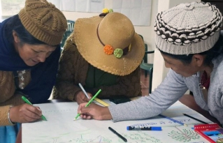 Liderazgos del Altiplano, Valles Interandinos y el Chaco concluyen programa nacional de formación en gobernanza ambiental y cambio climático