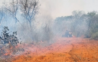 Charagua Iyambae reitera su rechazo al proyecto carretero que amenaza el Área de Conservación Ñembi Guasu
