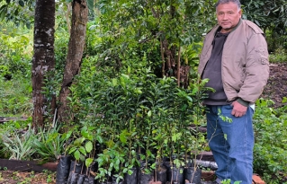 Familias productoras de Beni fortalecen sus sistemas agroforestales con la entrega de plantines