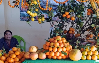XVII Feria Departamental de la Naranja en Huacareta impulsa la producción citrícola en Chuquisaca