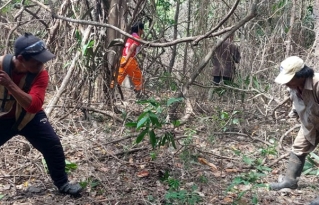 Comunidades de Riberalta se organizan para prevenir incendios forestales tras la devastación de más de 100 mil hectáreas en 2024