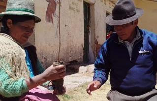 Estudiantes, docentes y autoridades originarias reforestan la Unidad Educativa Litoral de Culta en un acto de compromiso ambiental