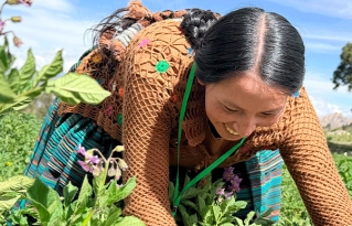 Proyecto Raíces Agroecológicas inicia actividades en favor de la soberanía alimentaria y la agrobiodiversidad en Bolivia