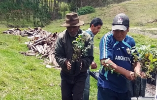 Comunidades del municipio de Independencia inician campaña de forestación para proteger zonas de recarga hídrica