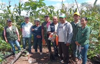 Alianza académica y técnica fortalece el mejoramiento genético participativo en Baures