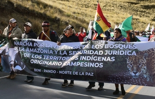 La marcha indígena campesina llega a La Paz y visibiliza su demanda por la defensa del territorio