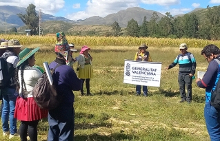 Productores de Anzaldo, Torotoro y Acasio fortalecen capacidades en agroforestería y gestión sostenible del agua