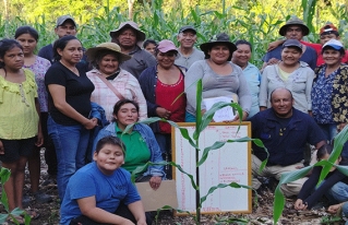 Productores del GIA TIM y San Ignacio de Moxos fortalecen la conservación de semillas nativas mediante el mejoramiento participativo