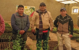 CIPCA Perú y CIPCA Altiplano fortalecen capacidades para el desarrollo rural sostenible mediante el intercambio de experiencias