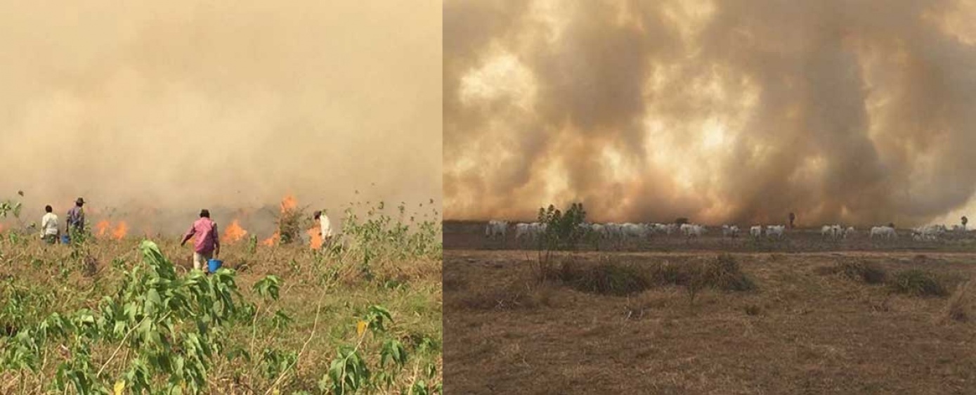La sequía y los incendios forestales golpean a Beni