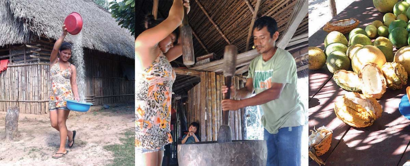 En Beni preservan el bosque con la producción de frutas y verduras