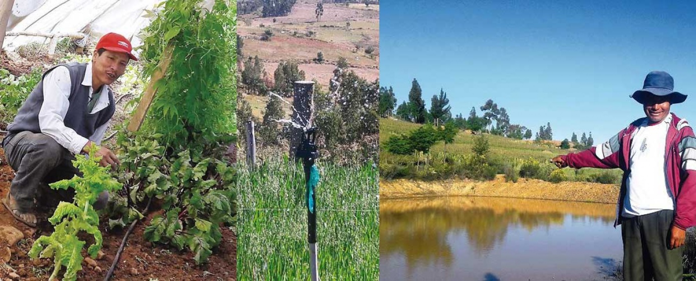 En Anzaldo cosechan agua y hacen florecer en tierra seca
