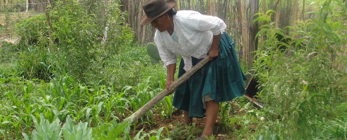El proceso de cambio no ha llegado a los pequeños productores