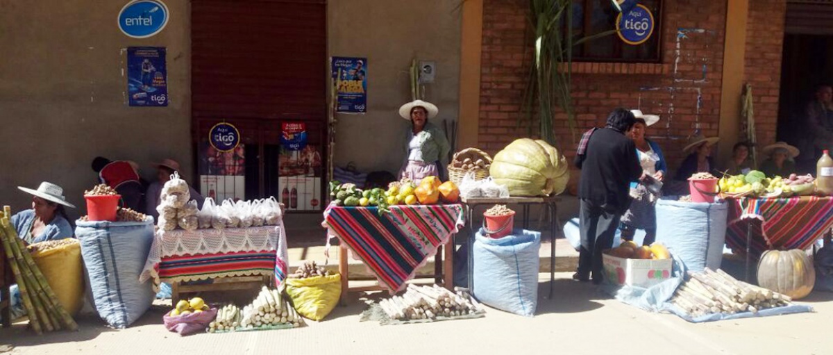 Importación de alimentos y políticas de fortalecimiento de la agricultura sostenible
